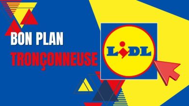 la mini tronçonneuse Lidl Parkside est un incontournable