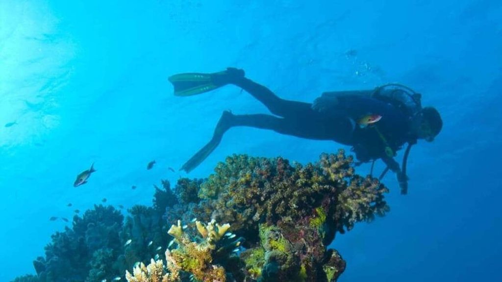 Un bateau avec des plongeurs mayennais coule en pleine mer Rouge en Egypte