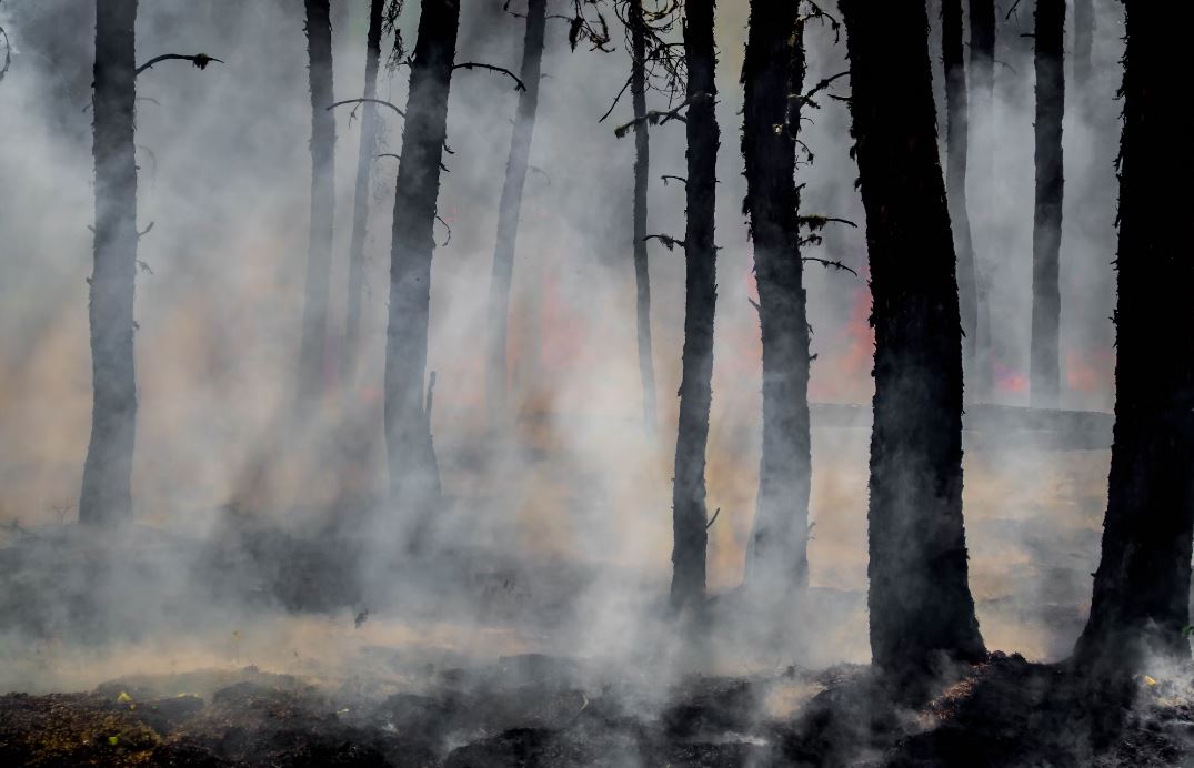 Le monde se dirige vers un réchauffement de +3,1°C