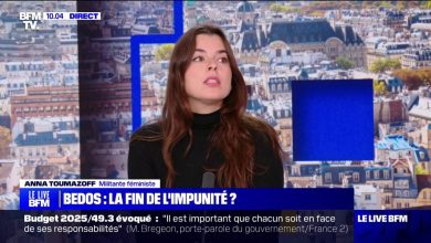 « Ce qui est choquant, c’est que les peines ne sont généralement pas appliquées », déclare Anna Toumazoff, journaliste et militante féministe.