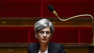 A l’Assemblée, le presque bras d’honneur de Sandrine Rousseau suscite l’émotion d’un député RN – Libération