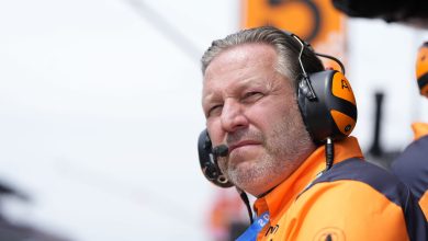 Zak Brown attaque le « ridicule » de Max Verstappen et « applaudit les commissaires de la FIA »