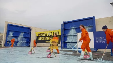 bateaux, méduses géantes et bombes fumigènes bleues autour de la centrale nucléaire