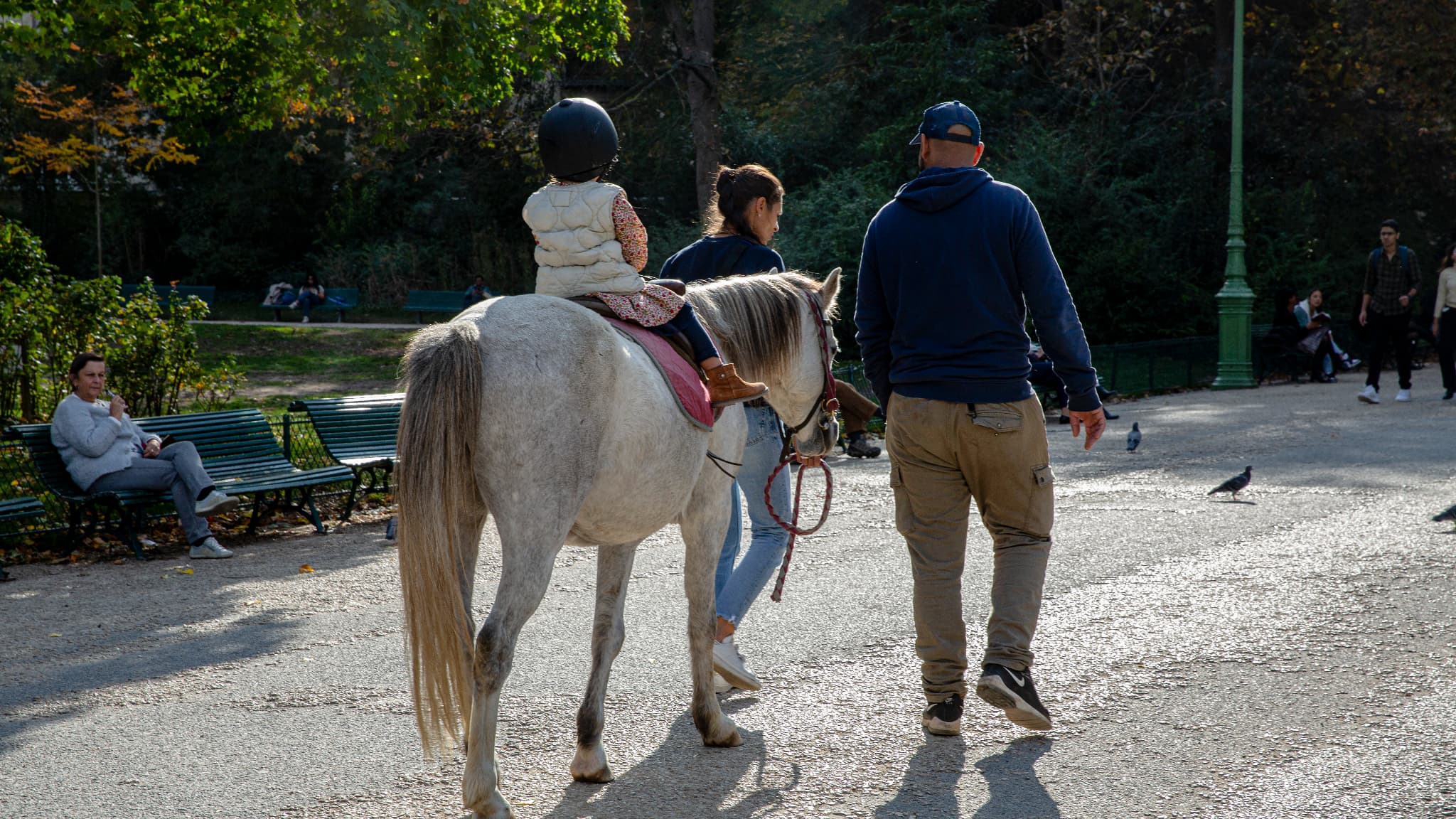 une petite fille tuée par un sabot de poney frappé à l’arrière de la tête