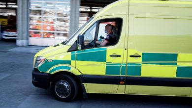 Une femme de 79 ans meurt écrasée par un arbre abattu par son mari