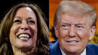 Trump ou Harris ? Ce que disent les sondages à une semaine de l’élection présidentielle américaine