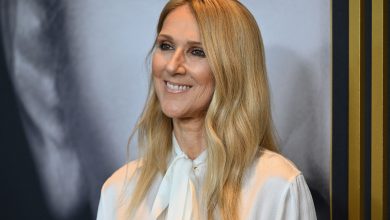 Céline Dion en larmes, René-Charles méconnaissable