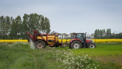 La France passe de la 2e à la 6e place mondiale