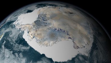 Voici à quoi ressemblerait l’Antarctique si toute sa glace fondait