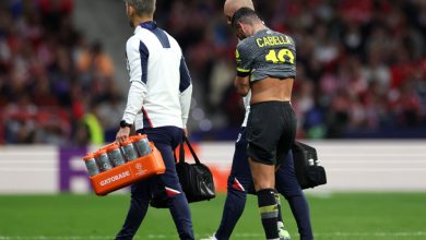 Ligue 1 – D9 : Courte absence pour Cabella, neuf absents et un incertain au LOSC face au RC Lens