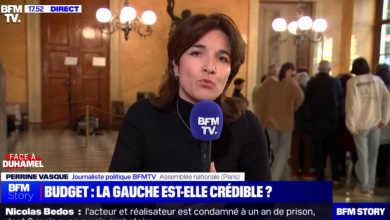 Un journaliste politique de BFMTV rejoint le groupe des écologistes à l’Assemblée nationale