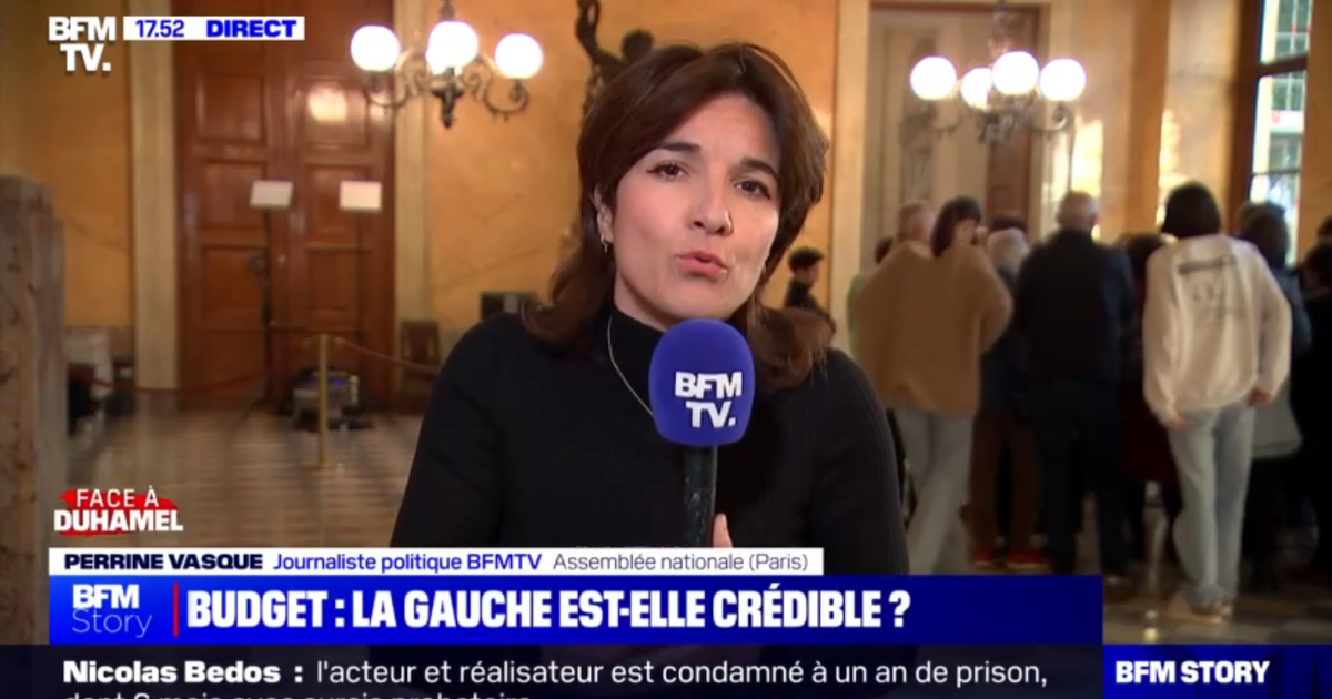 Un journaliste politique de BFMTV rejoint le groupe des écologistes à l’Assemblée nationale