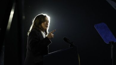 Kamala Harris, la candidate de la joie est devenue la candidate de la peur