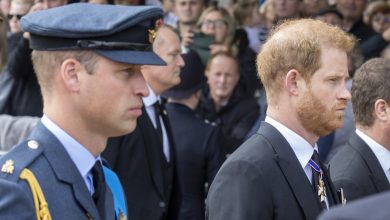 Le prince William prêt à se réconcilier avec Harry ? Une première en six ans, ces mots qui pourraient tout changer