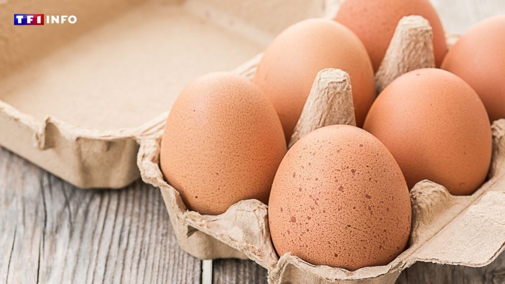 Œufs contaminés à la salmonelle : un nouveau rappel dans toute la France