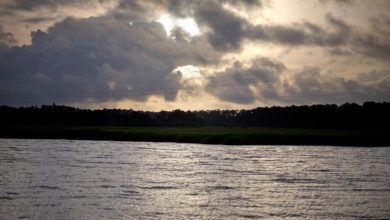 au moins sept morts après l’effondrement d’une passerelle lors de célébrations sur l’île de Géorgie