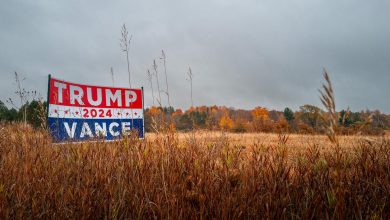 à une semaine du scrutin, la course à la Maison Blanche est encore indécise