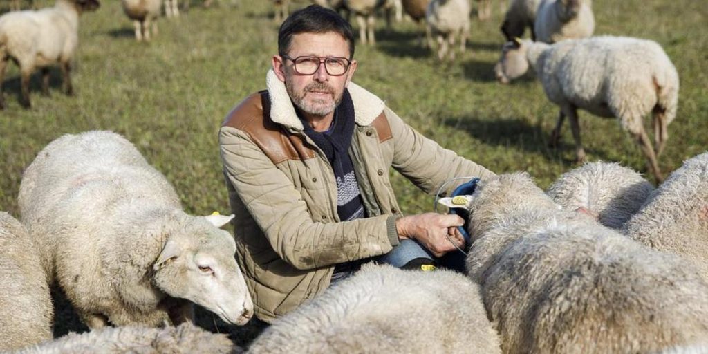 « L’amour est dans le pré » : le candidat de la Dordogne reçoit ses prétendants – Sud Ouest