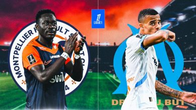 OM : compositions probables