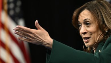 à Dearborn, la communauté arabe menace de « punir » Kamala Harris