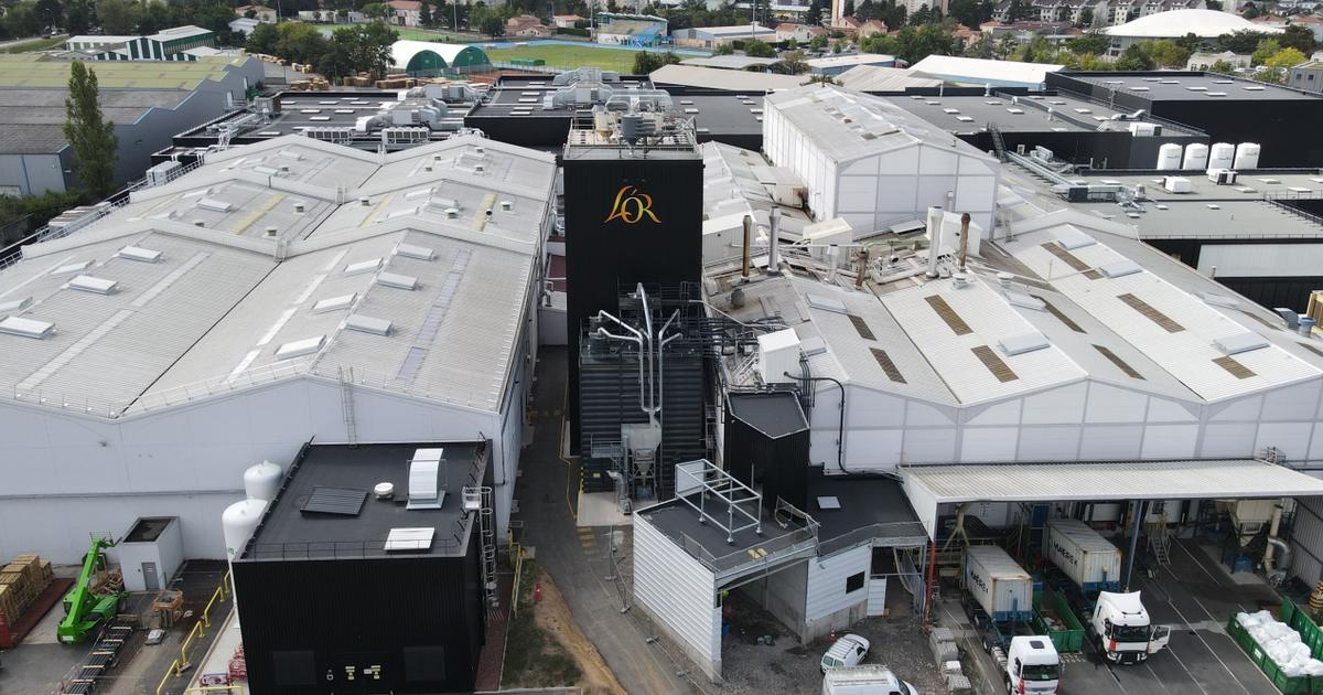 De la poudre Jacques Vabre aux capsules L’Or, en immersion au cœur de la plus grande usine de café de France