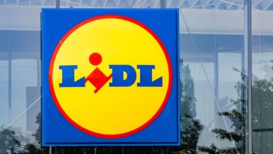 Lidl cartonne avec cette doudoune légère qui tient chaud, à moins de 20 euros