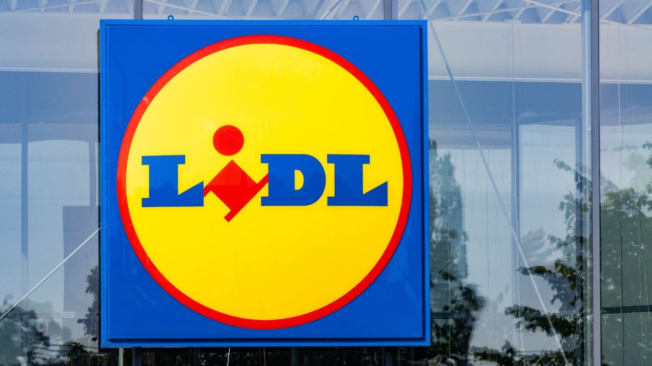 Lidl cartonne avec cette doudoune légère qui tient chaud, à moins de 20 euros