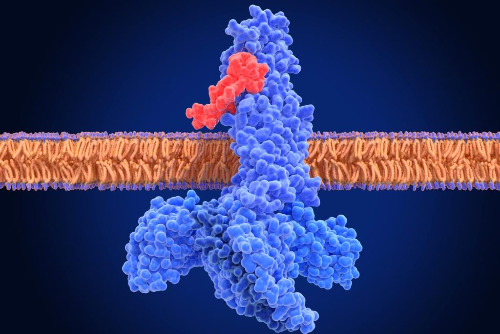 un médicament antidiabétique pourrait réduire la progression du déclin cognitif