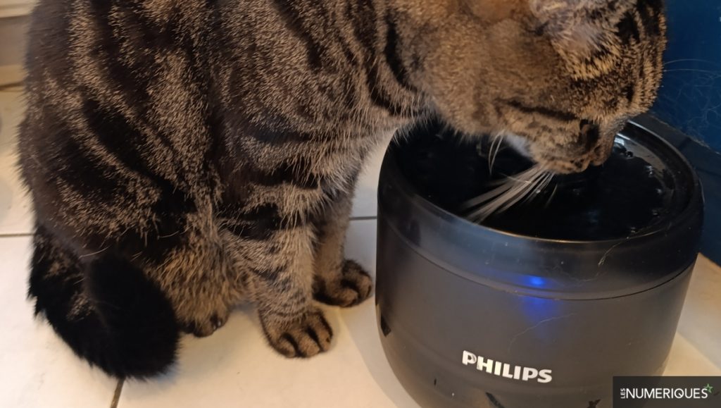 Philips Pet Fountain : la fontaine à eau pour animaux qui donne le ton