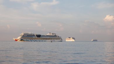 Façon club de vacances ou palais flottant, le marché des croisières est en plein essor