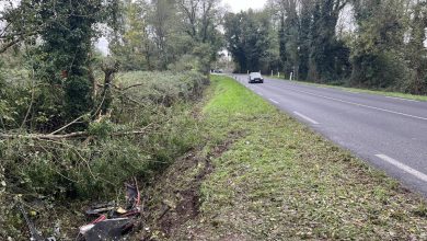 deux jeunes de 18 et 19 ans sont morts dans un accident de la route, des cadavres de sangliers retrouvés sur la route