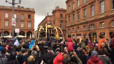 dix informations essentielles à connaître avant de venir à Toulouse