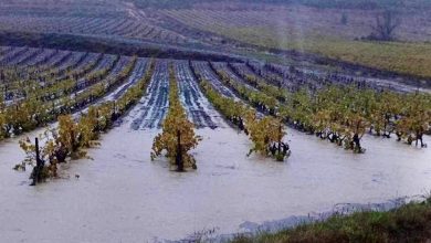 « Espérons que ça dure ! »