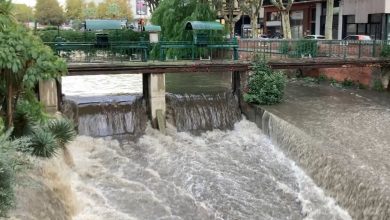 combien de pluie est tombée dans les Pyrénées-Orientales ?