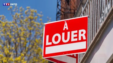 Une offre au plus bas, des prix au plus haut… Il n’a jamais été aussi difficile de louer un bien immobilier en France