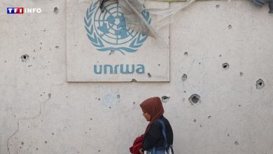 Israël adopte une loi interdisant les activités de l’UNRWA, suscitant un tollé international