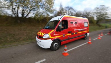 Deux jeunes de 18 et 19 ans meurent dans un accident de voiture, des traces de sangliers retrouvées à proximité