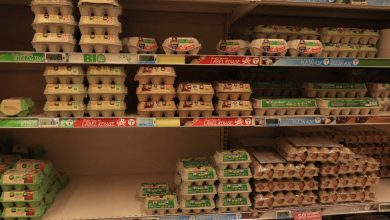 Carrefour, Leclerc, Intermarché… Des œufs massivement rappelés, ils pourraient contenir des salmonelles