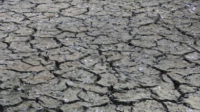 Sécheresse. 9 autres communes des Pyrénées-Orientales en état de catastrophe naturelle