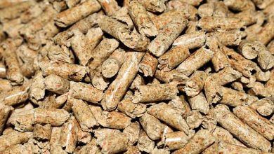 Le pellet, danger pour les forêts françaises, selon un rapport