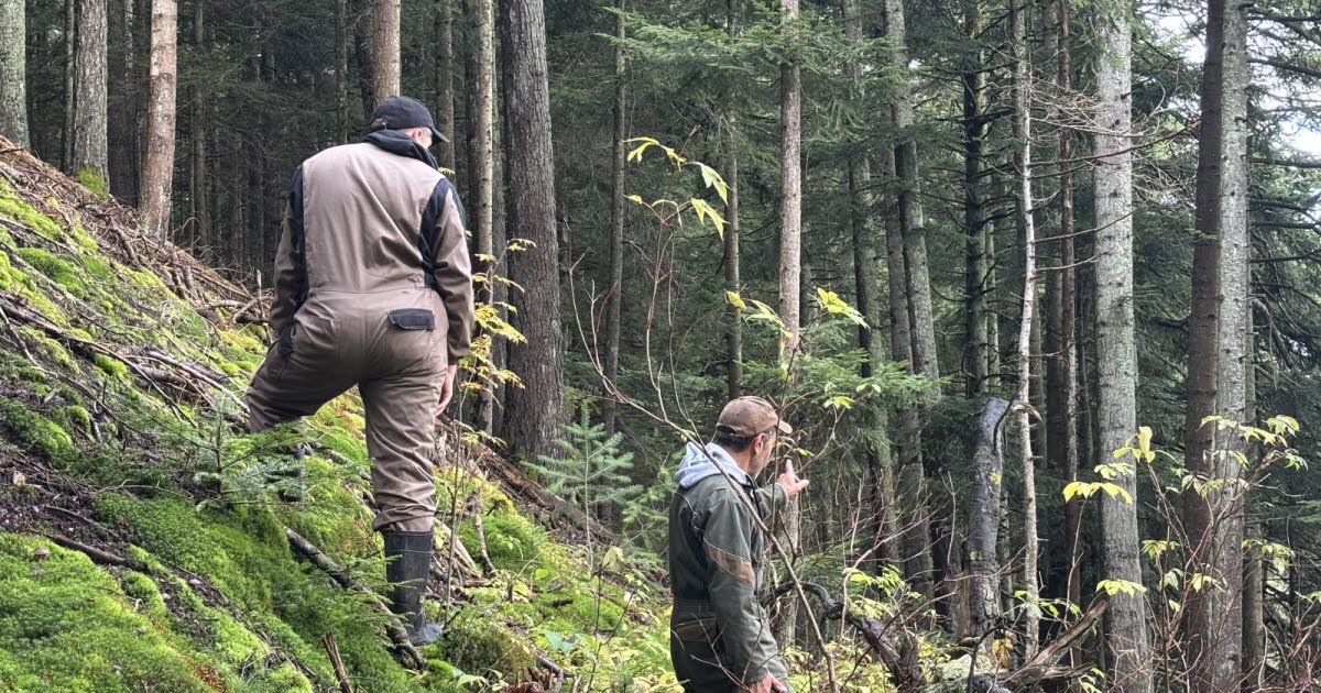 emportée par le Lignon, la vache Panga a été retrouvée morte