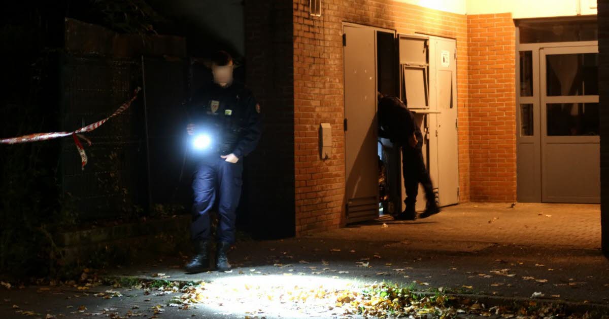 Grenoble. Nouvelle fusillade : un adolescent de 15 ans tué d’une balle dans la tête dans le quartier Hoche – Le Dauphiné Libéré