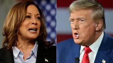 sondages, insultes… Fin de campagne brutale entre Kamala Harris et Donald Trump