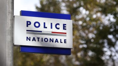 une jeune fille de 17 ans tuée de plusieurs coups de couteau, son ex-petit ami arrêté