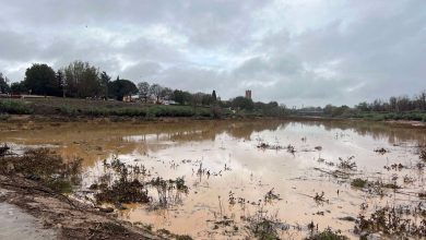 A sec depuis plusieurs années, cette rivière des Pyrénées-Orientales retrouve enfin de l’eau