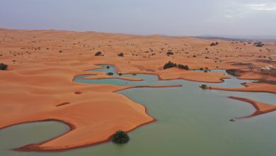 Images impressionnantes de lacs formés au Sahara suite à de fortes pluies