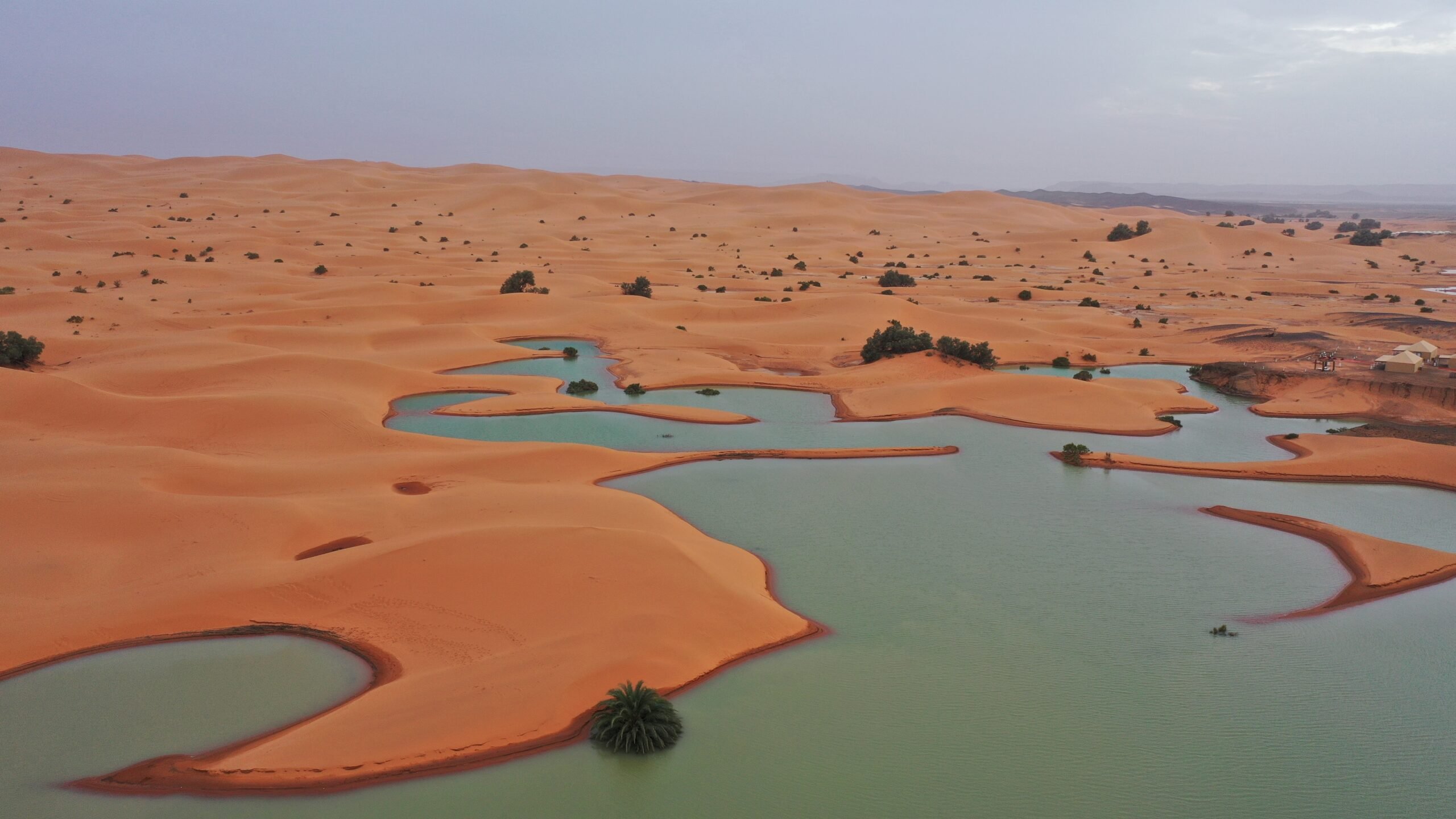 Images impressionnantes de lacs formés au Sahara suite à de fortes pluies