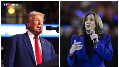 Présidentielle américaine : Donald Trump ou Kamala Harris, que disent les sondages à J-5 ?