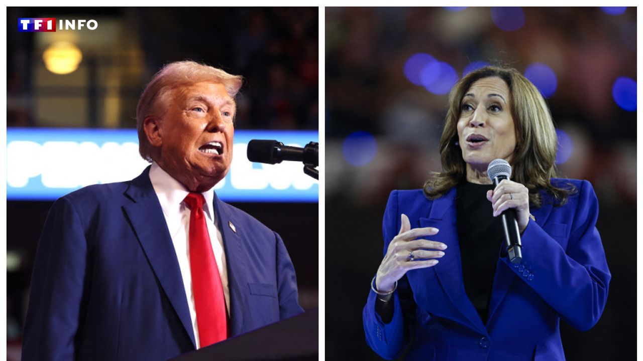 Présidentielle américaine : Donald Trump ou Kamala Harris, que disent les sondages à J-5 ?