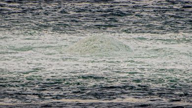 Un deuxième câble sous-marin de télécommunications a été endommagé dans la mer Baltique, reliant la Suède et la Lituanie